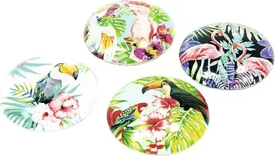 Productafbeelding van Dekomagnetiseerder voor paradijsvogel-set, 4 stuks