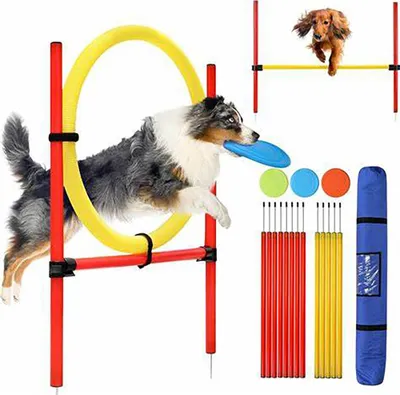 Produktbild von Kerbl Hundespielzeug Agility Komplett-Set 3-teilig, rot/gelb; 80758
