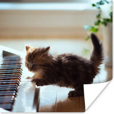 Produktbild von MuchoWow® Poster Katze - Tier - Kätzchen 30x30 cm - Wandposter - Printing
