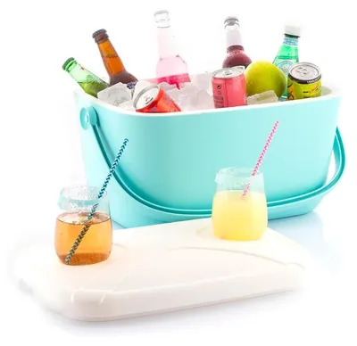 Immagine prodotto di Borsa frigo portatile da 20 litri con maniglia