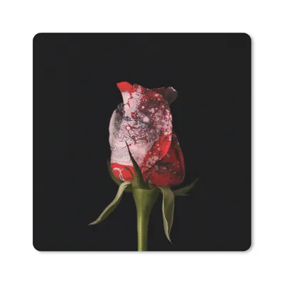 Produktbild von MuchoWow® Mauspad Mousepad Rosen - Blumen - Farbe 20x20 cm - Mousepads - Maus Mat - Pad - Mausunterlage - Desk Mat - Bureauartikeln