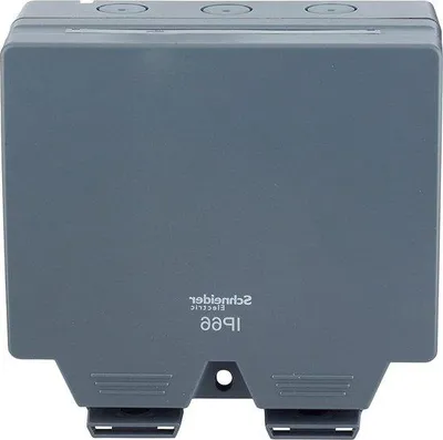 Image de Boîtier d'interrupteur étanche IP66 13 A 250 V, double interrupteur, gris