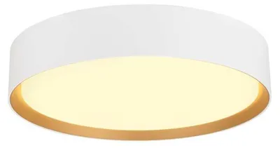 Produktbild von SLV BIG WHITE DECONA 30 CL, PHASE, Aufbaudeckenleuchte, rund, 3000/4000 K, 17 W, weiß/gold 1008919