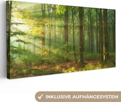 Obrázok produktu pre MuchoWow® - Plátno - Slnko - Les - Stromy - Príroda - Jeseň, nástenná maľba, nástenné dekorácie, obrazy do obývačky, 40x20cm