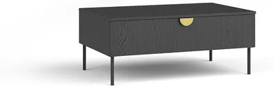 Obrázok produktu pre raumhirsch, konferenčný stolík, farba: grafitová čierna, rozmery: 100 x 41,6 x 66 cm
