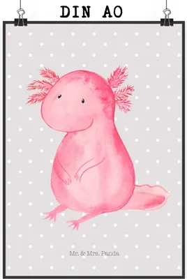 Produktbild von Mr. & Mrs. Panda Bild Axolotl Niedlich DIN A0 - Grau Pastell - Geschenk, drucke, Plakat, Kunstdruck, Weisheit, wanddeko, Freundin, Wandbild, Liebe, Lebensweisheit