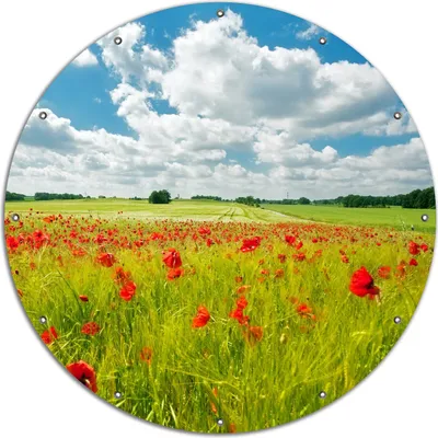 Produktbild von Wallario rundes Outdoor-Poster für Garten oder Balkon, Motiv Grüne Wiese mit Mohnblumen, 120 cm Durchmesser