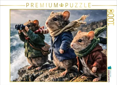 Produktbild von CALVENDO Puzzle Sturmpfoten | 1000 Teile Lege-Größe 64x48cm Foto-Puzzle für glückliche Stunden