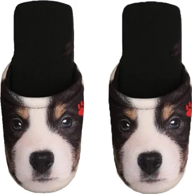 Produktbild von Betz Hausschuhe Pantoffel Pantolette Slipper für Sie und Ihn Hund Jersey Gr. M / L Größe - L