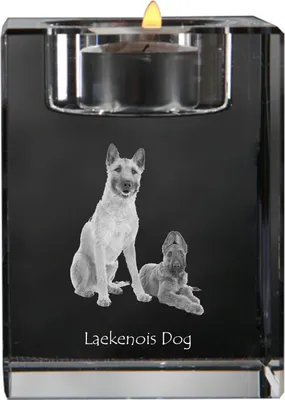 Imagen del producto de Art-Dog Portavelas para vela de té – Laekenois Pastor belga