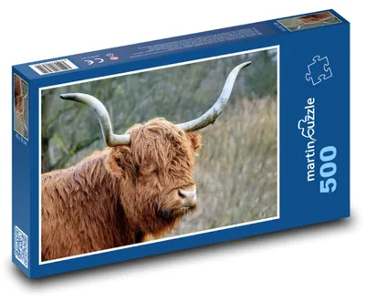 Produktbild von Puzzle 500 Hochlandvieh - Kuh - martinpuzzle