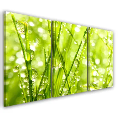 Zdjęcie produktu dla Obraz tryptyk na płótnie, Zielony Natura 60x40 cm Feeby zielony obraz na ścianę  gotowy do powieszenia