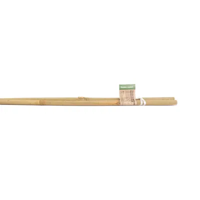 Obrázok produktu pre Plantris bambusová oporná tyč 14–16 mm, 150 cm, 2 kusy