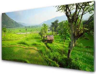 Produktbild von Acrylglasbilder 100x50 Wandbild Druck Wiese Natur