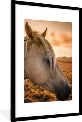 Produktbild von MuchoWow® Gerahmtes Poster Pferd - Tiere - Porträt 60x90 cm - Poster mit Schwarzem Bilderrahmen Wandposter Rahmen Foto Bilder - Dekoration - Wandposter Wohnzimmer - Hochwertig