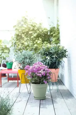 Produktbild von elho 8711904500771, Untersetzer, Kunststoff, Grün, Rund, Draußen, 100%