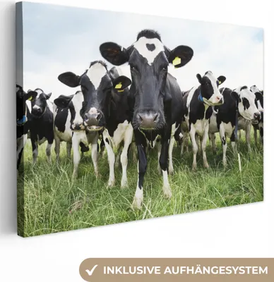 Produktbild von OneMillionCanvasses® - Leinwandbilder - 140x90 cm, Kühe - Gras - Frühling - Tiere - Wiese - Bauernhof, Wandbilder Kunstdruck Wanddekoration