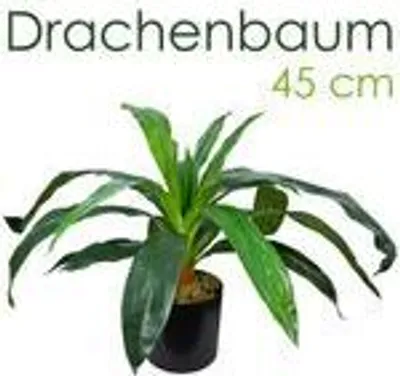Obrázok produktu pre Dračí strom Umelý strom Umelý strom Umelá rastlina Umelá rastlina Umelý strom Dekorácia Vnútorná dekorácia 45 cm Decovego