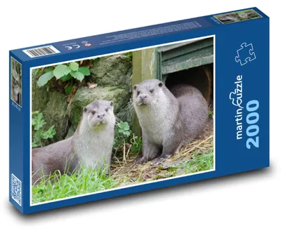 Obrázok produktu pre martinpuzzle - Puzzle 2000 - Výra riekna