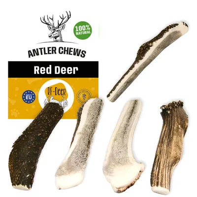 Zdjęcie produktu dla 5 szt M Soft jeleń 11-13 cm Naturalny gryzak z poroża roga rogów róg dla psa