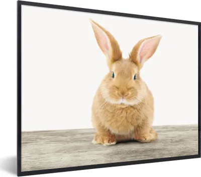 Produktbild von MuchoWow® Gerahmtes Poster Kaninchen - Babykaninchen - Tiere - Kinder - Mädchen - Jungen 80x60 cm - Poster mit Schwarzem Bilderrahmen Wandposter Rahmen Foto Bilder - Schwarzem - Mit Gestell