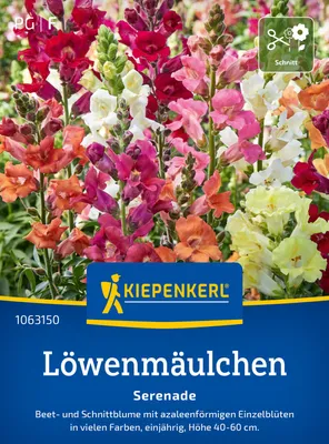 Produktbild von Kiepenkerl Blumensamen Löwenmäulchen Serenade für ca. 200 Pflanzen