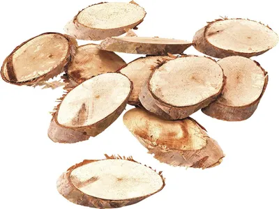 Obrázek produktu pro 6XKNORR prandell 218008750 Holzscheiben 6cm