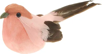 Image de Rico Design, clip décoratif en forme d'oiseau, dimensions : 4,5 x 4,5 x 12,5 cm