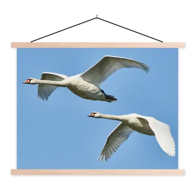 Produktbild von MuchoWow® Textilposter Schwan - Vogel - Himmel - Blau 120x90 cm mit holzfarbenen Rahmen - Magnetisch