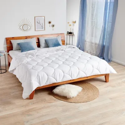 Produktbild von Traumschlaf Basic Faser Ganzjahresdecke medium, Füllung: 100% Polyester 240x220 cm
