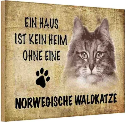 Produktbild von vianmo Holzschild 20x30 cm Norvegische Waldkatze Katze Tier Haustier