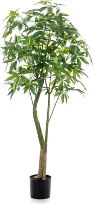 Zdjęcie produktu dla Sztuczna roslina Pachira Aquatica - kasztan szczescia 180cm - niezwykle