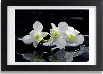 Produktbild von Bild 30x20 MDF-Rahmen, Wandkunst Orchidee