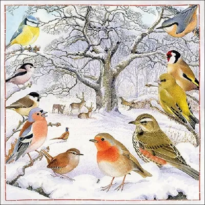 Produktbild von 20 Servietten Vögel im Winter