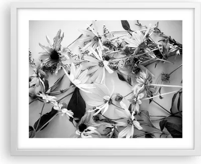 Produktbild von Gerahmtes Poster - Weißer Rahmen - Blumen Schwarzweiß Fotografie - 50x40 cm - Wand Bild - Wanddeko - Wandbilder - Kunstposter - Wandposter - Bilderrahmen - Bilder - Kunstdruck - P2WAA50x40-4740