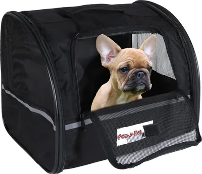 A French bulldog puppy sits inside a black pet carrier bag.
