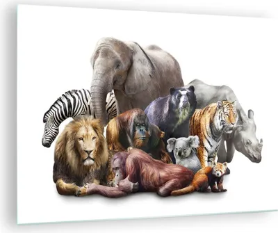 Produktbild von Bilder auf glas - Tiere Koala Löwe Affe - 70x50cm - Glasbilder - Wandbilder - Kunstdruck - zum Aufhängen bereit - Wanddekoration aus Glas - Glas Bilder - Wandbild auf Glas - Einteilig - GAA70x50-3166
