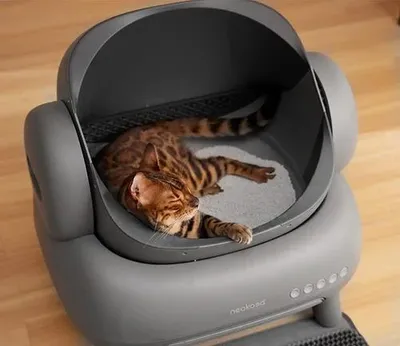 A Bengal cat is sleeping comfortably inside an automatic cat litter box.