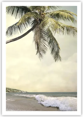 Produktbild von Poster - Poster ohne Rahmen - Palme Strand Insel - 70x100 cm - Wand Bild - Wanddeko - Wandbilder - Kunstposter - Wandposter - Bilder - Kunstdruck - Wanddekoration - Wandbild - P2XPA70x100-4154