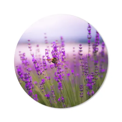 Produktbild von MuchoWow® Mauspad Mousepad Lavendel mit Biene 20x20 cm - Mousepads - Maus Mat - Pad - Mausunterlage - Schreibtischmatte