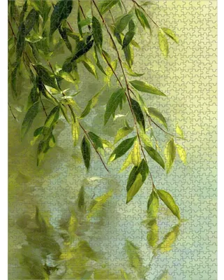 Image de Puzzle pour adultes, 1500 pièces