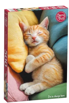 Zdjęcie produktu dla Puzzle 500 CherryPazzi I'm in charge here 20456