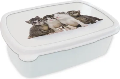 Produktbild von KitchenYeah® Lunchbox Brotzeit Brotdose 17x11 cm Katze - Haustiere - Fell - Porträt Kinder Brotzeitdose - Lunch Box - Kinder - Sandwich-Box - Schulbox - Lunch Boxen