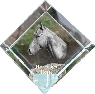 Immagine prodotto di Art-Dog Fermacarte – Cavallo Holsteiner