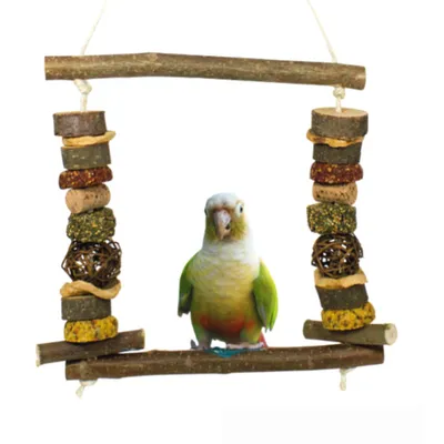 Obrázek produktu pro JR Farm Birds Natur Schlemmer-Schaukel velký 450 g, krmivo pro ptáky