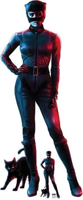 Produktbild von Batman Pappaufsteller Catwoman Red Blue