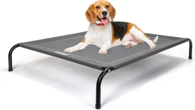 A beagle dog is lying on a raised, gray pet bed with black legs. The background is white.
