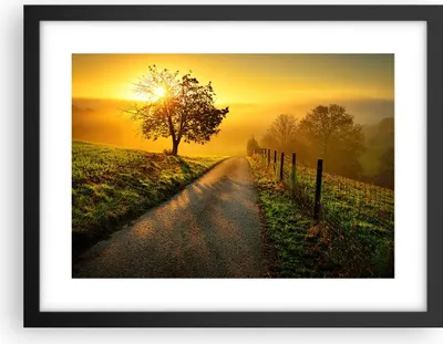 Produktbild von Gerahmtes Poster - Schwarzer Rahmen - Feld Straße Baum - 40x30 cm - Wand Bild - Wanddeko - Wandbilder - Kunstposter - Wandposter - Bilderrahmen - Bilder - Kunstdruck - Wandbild - P2BAA40x30-3851