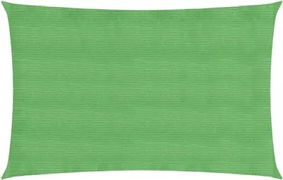 Image de VidaXL Bâche solaire 160 g/m² 2x4,5 m HDPE vert clair