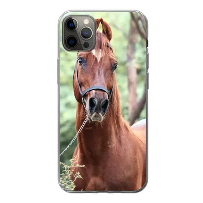 Produktbild von MuchoWow® Handyhülle Schutzhülle Hülle für iPhone 13 Pro Max Pferd - Wald - Halfter Silikon Softcase Handy Hülle - Mobiltelefon